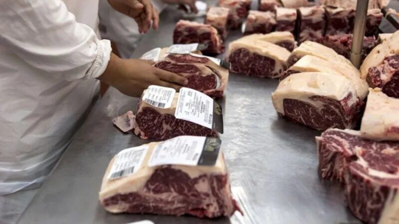 Por 15 días el Gobierno Nacional cerró las exportaciones de carne