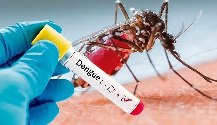 El Gobierno reúne a los ministros de Salud de todas las provincias en plena crisis sanitaria por dengue