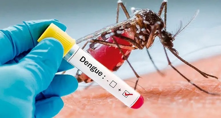 El Gobierno reúne a los ministros de Salud de todas las provincias en plena crisis sanitaria por dengue